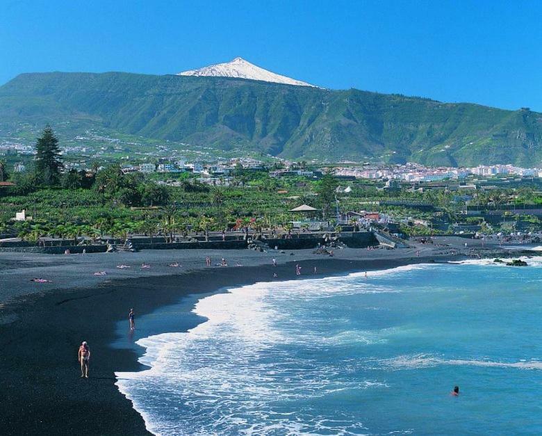 Las Terassas- Playa De Las Americas - Tenerife- Espagne エクステリア 写真